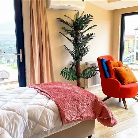 Luxury Duplex With Wonderful View In Izmit